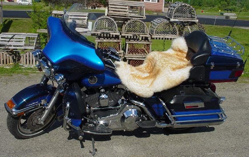 Motorcycle Seat Cover Customers Alicia & Mike Mattoon, Spokane, WA