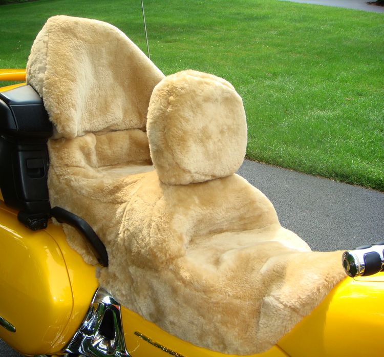 Custom Motorcycle Seat and Backrest Cover Customer Don S. from Ohio