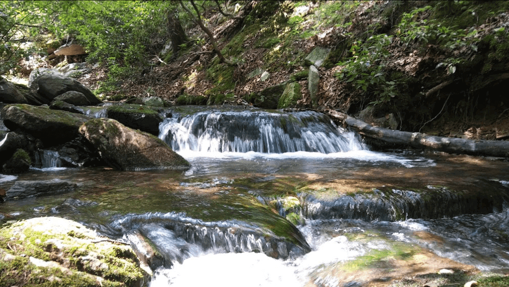 The Best Hiking Trails In Frederick, Maryland