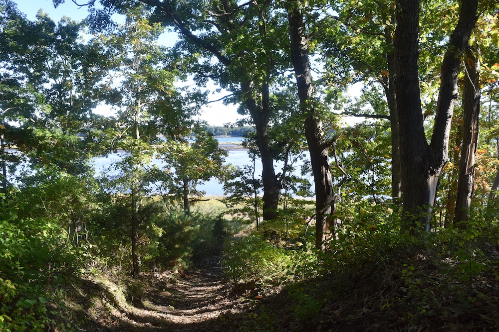 Guided Walk Doug Rayner Wildlife Refuge Barrington Land Trust