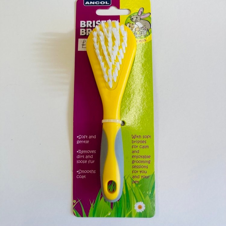 Small Pet Bristle Brush Bleakholt Animal Sanctuary