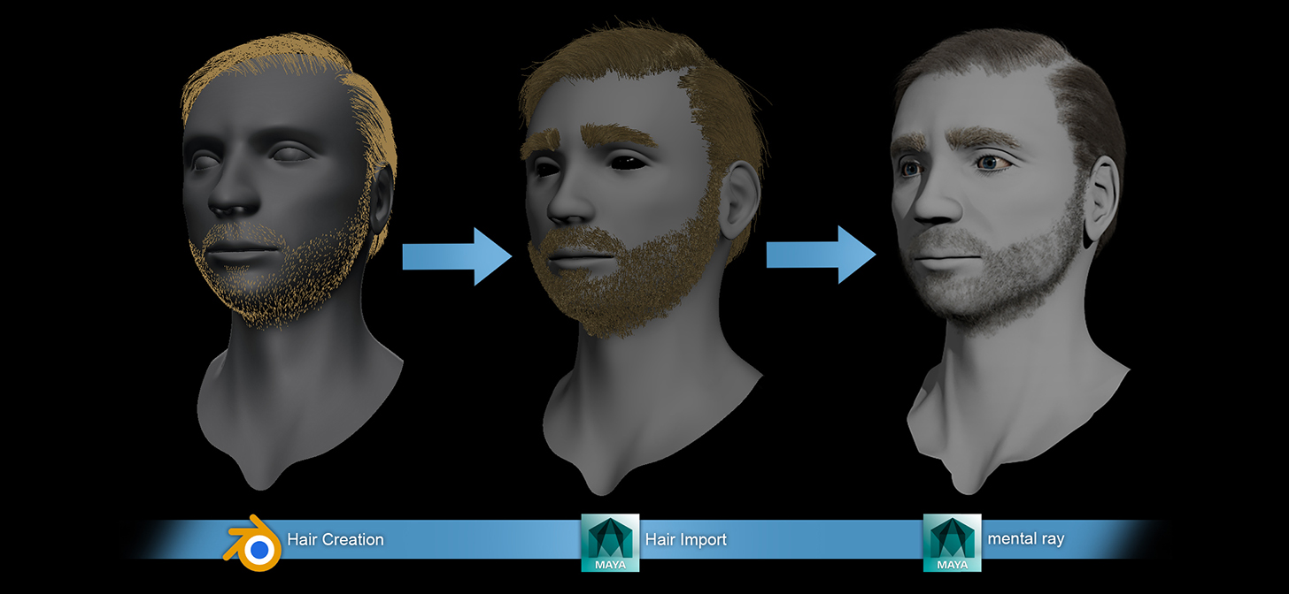 Creating hair in Blender and exporting it into Maya BlenderNation