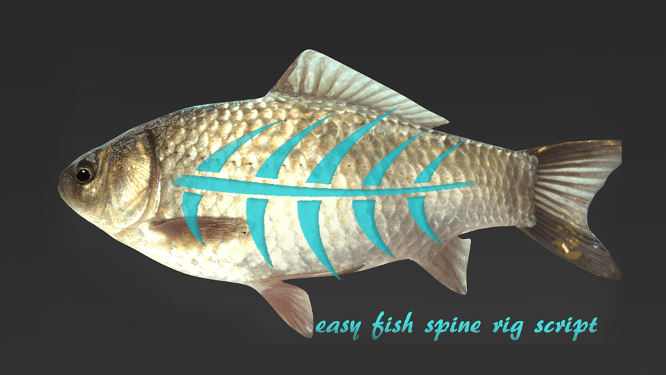 Auto Fish Rig python script BlenderNation