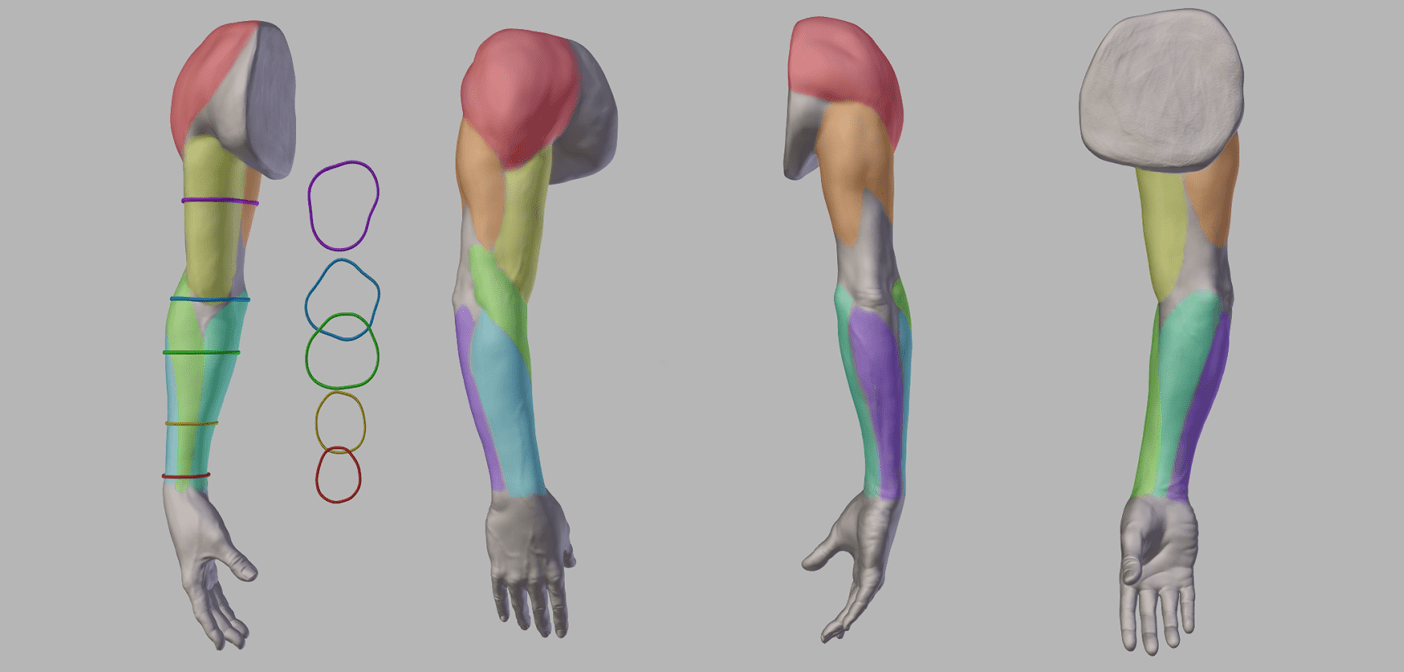 Artistic Anatomy: The Great French Classic on Artistic Anatomy.
