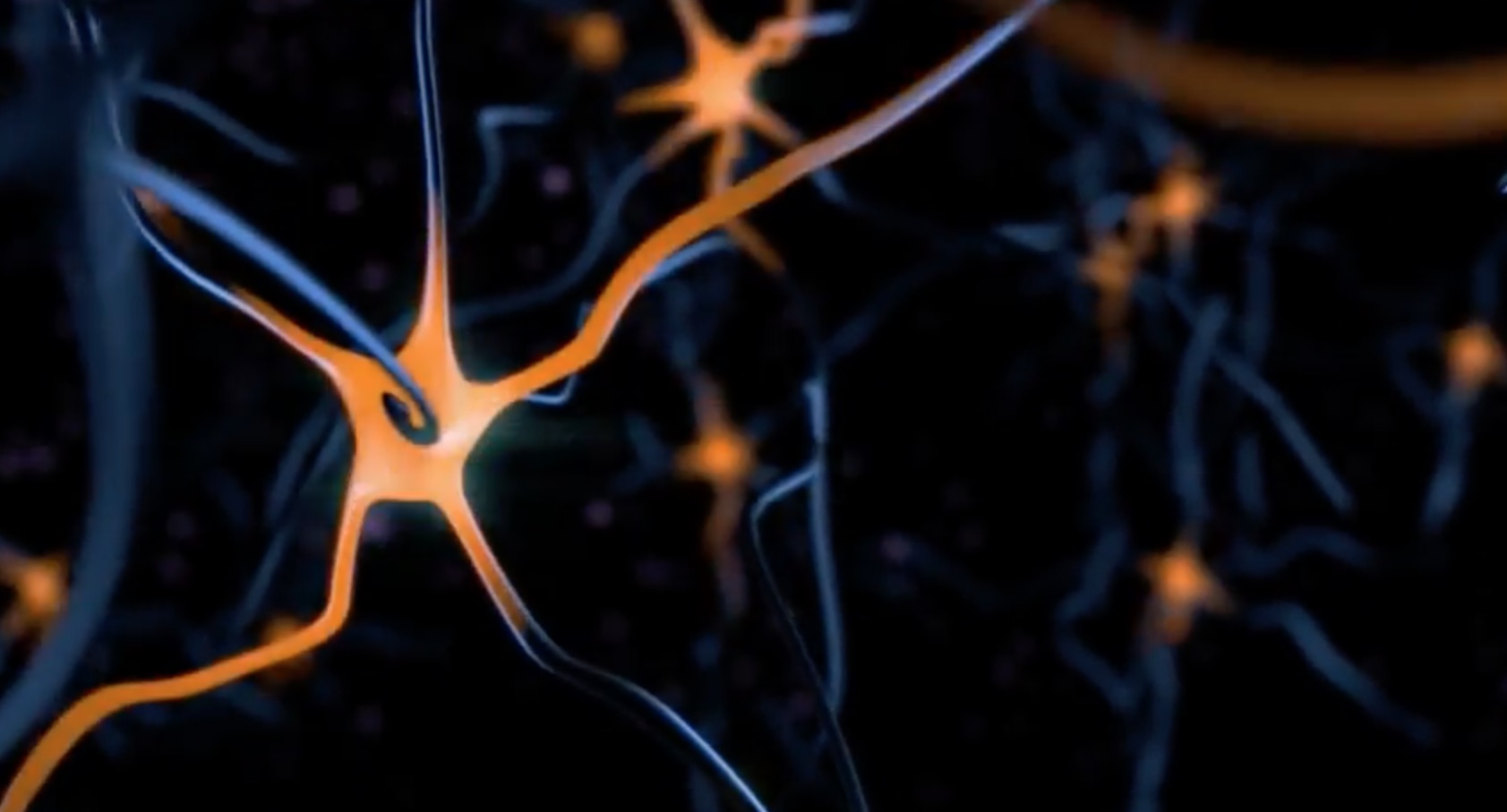 Create a Neuron in Blender BlenderNation