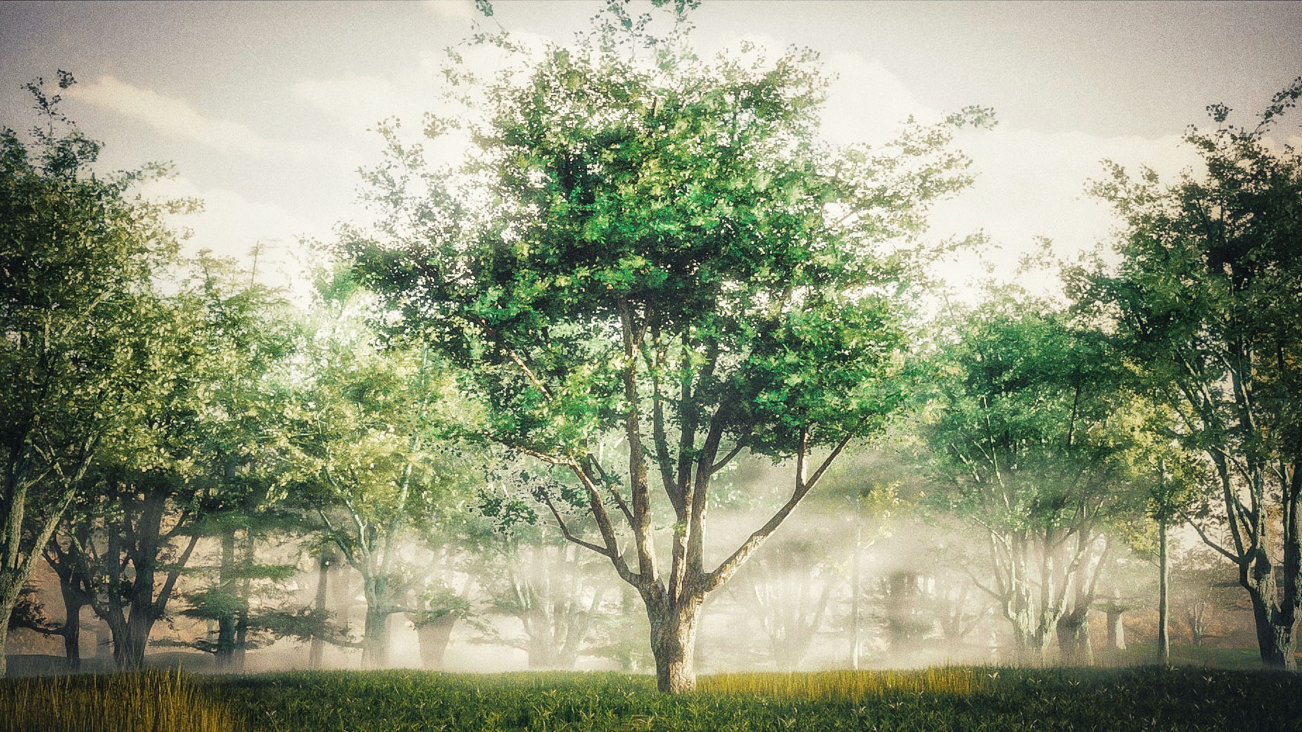 The Secrets to Creating Realistic Trees BlenderNation