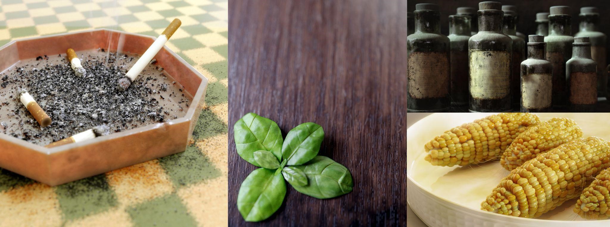 Behind the Scenes Bagel in Blender BlenderNation