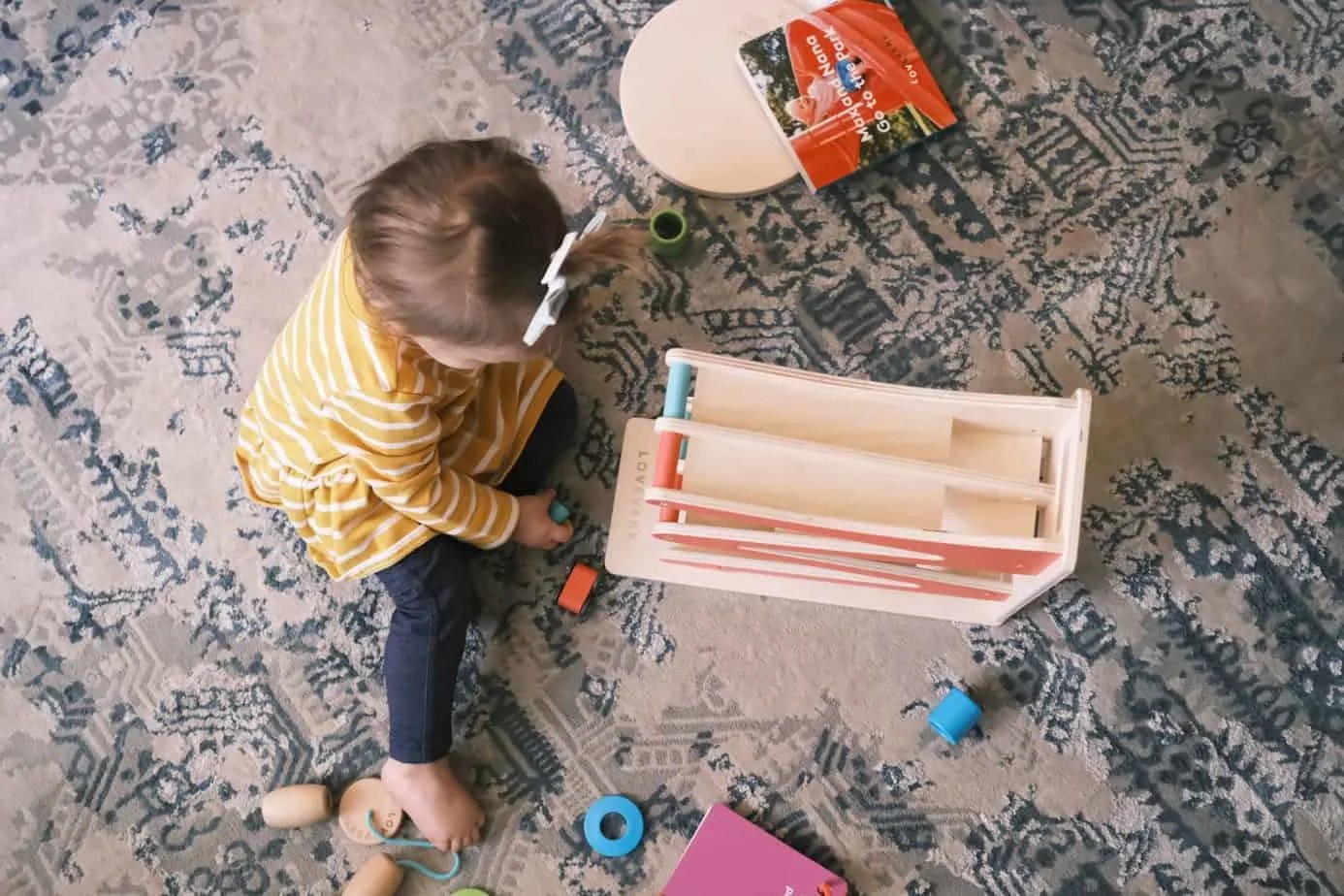 16 MustHave Montessori Toys for 18 Month Old To Keep Them BUSY!