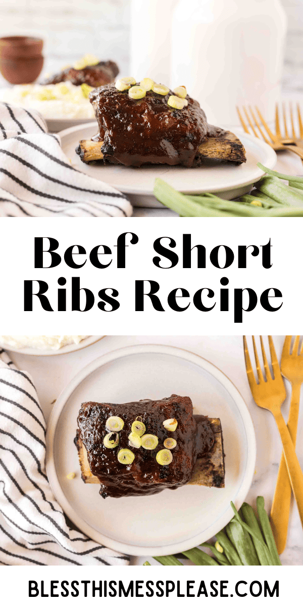 Beef Short Ribs — Bless this Mess