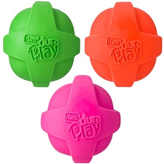 Blind Paws The 10 Best Toys for Blind Dogs