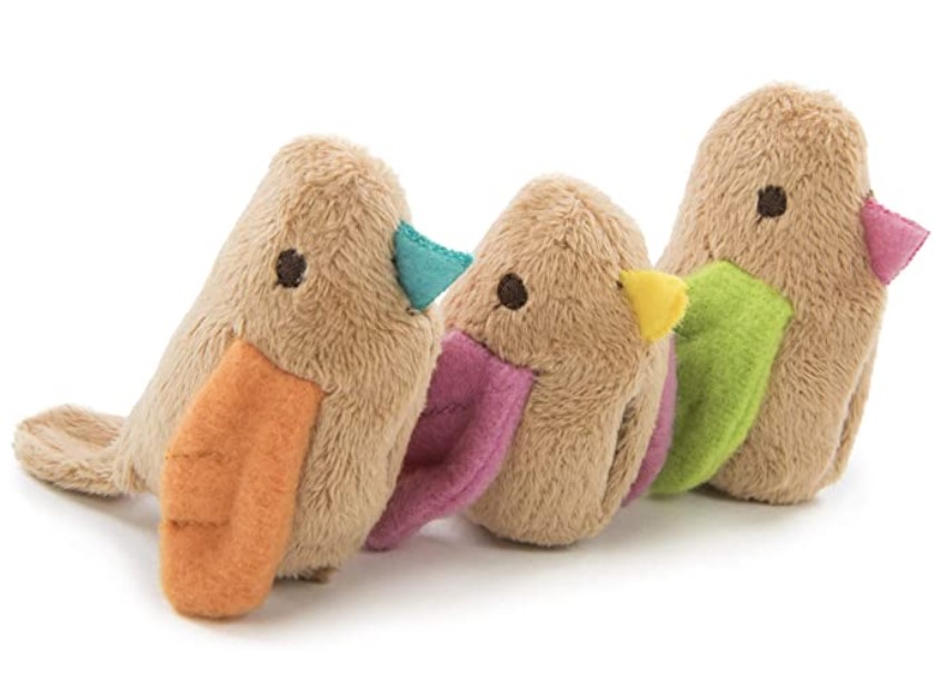 Blind Paws The 10 Best Toys for Blind Dogs