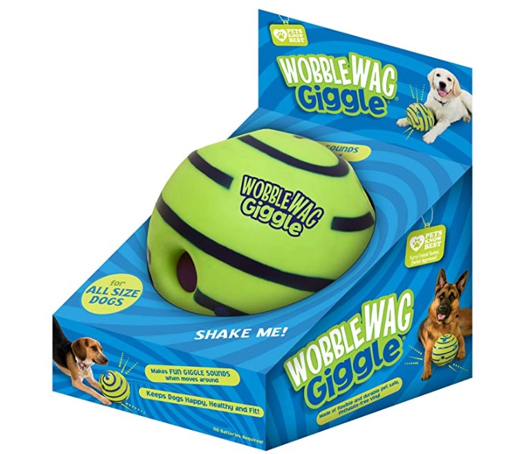 Blind Paws The 10 Best Toys for Blind Dogs