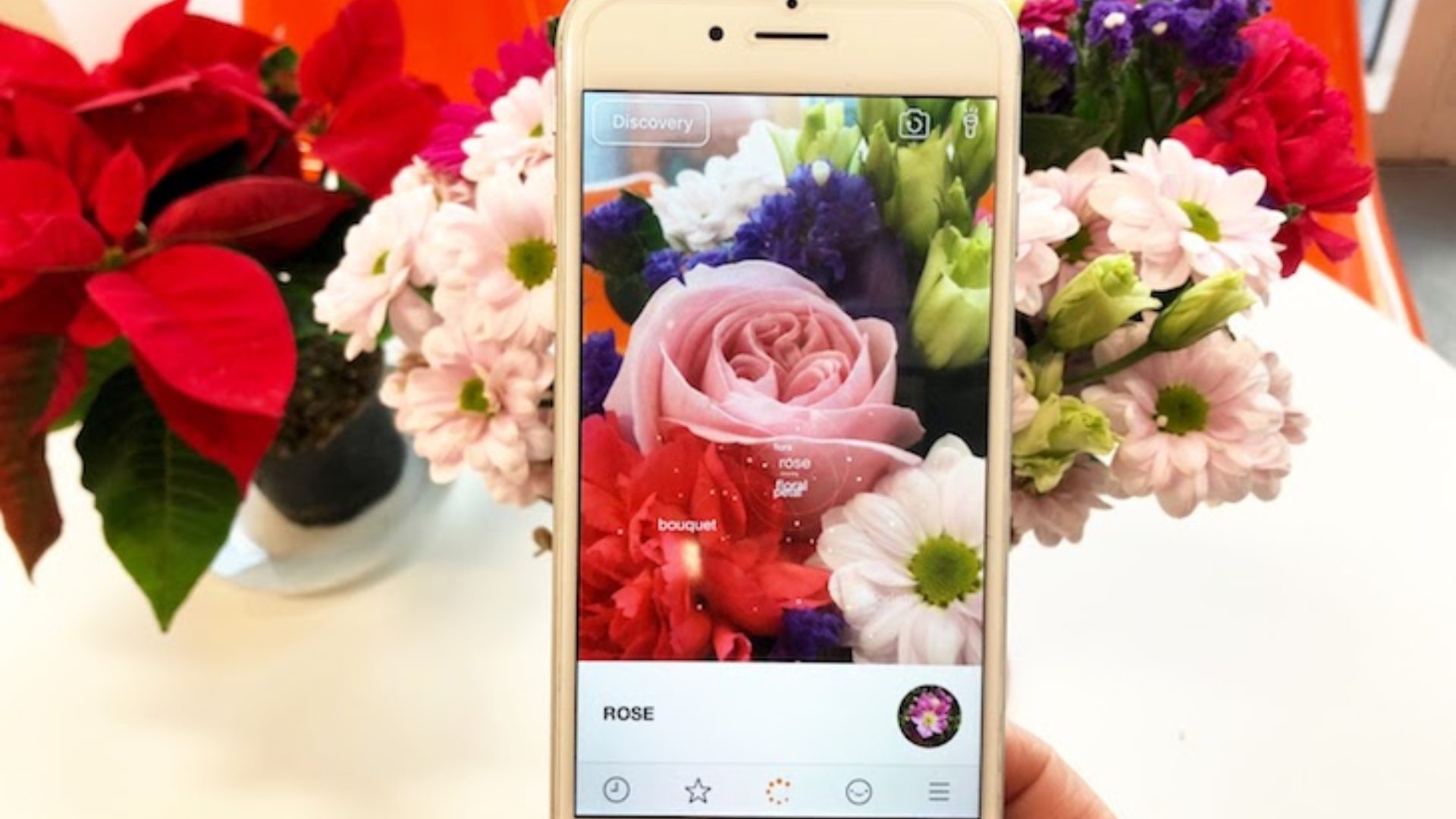New Flower Recognition API be your own botanist News Blippar