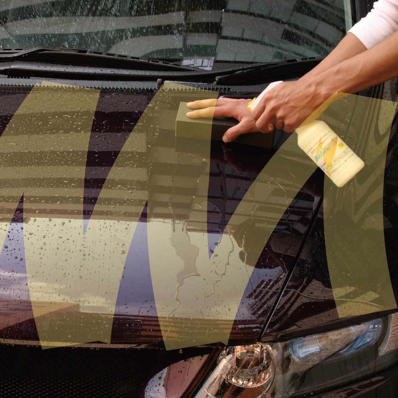 Car Glass Coating Bliss