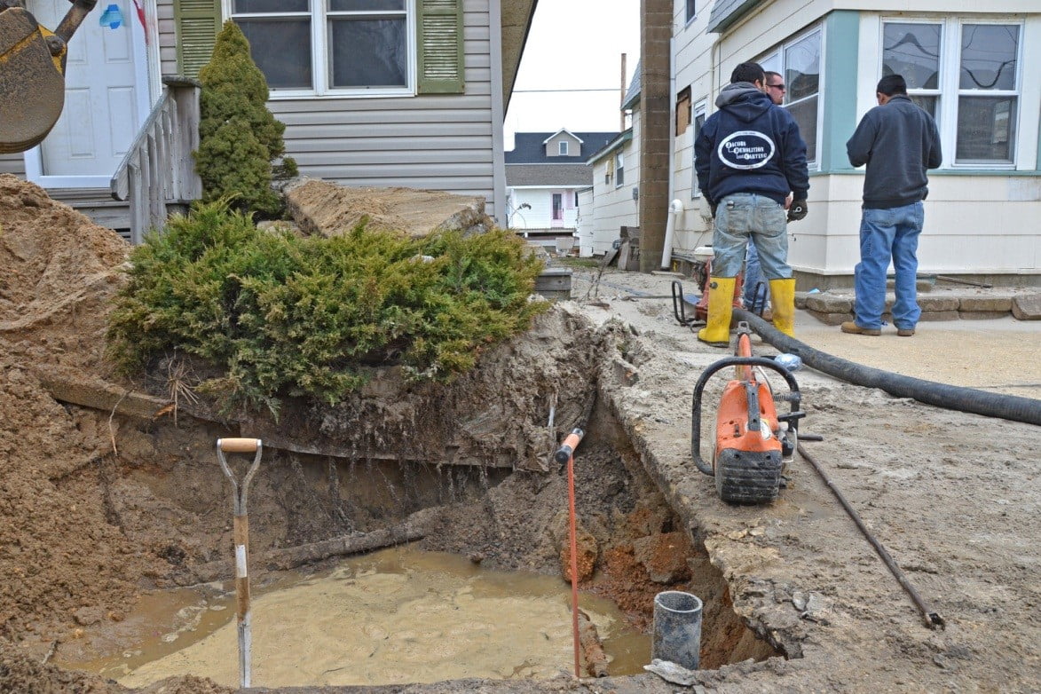 Home BLM FCC Bemidji Lawn Service, Bemidji tree removal, Bemidji