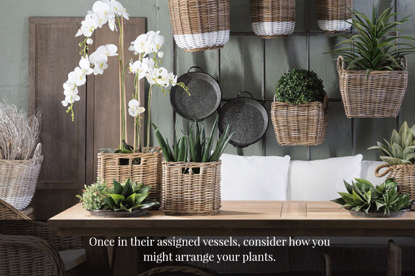 How to pot your plants beautifully Block & Chisel