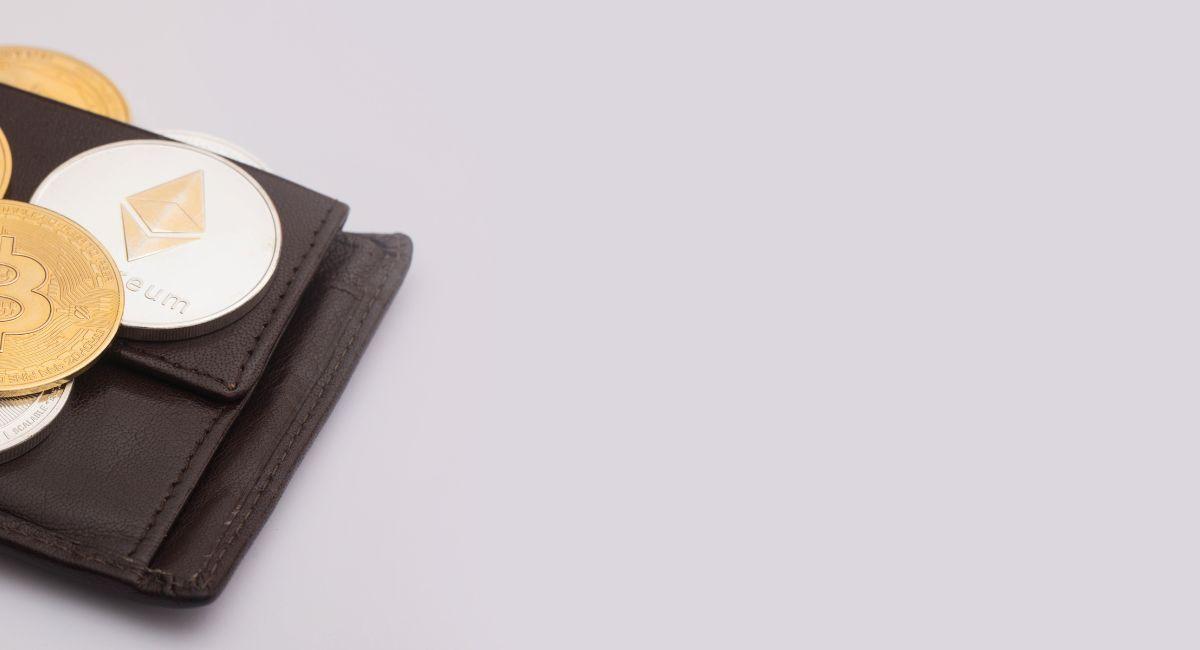 Top 5 Decentralized Crypto Wallets For Beginners In 2024