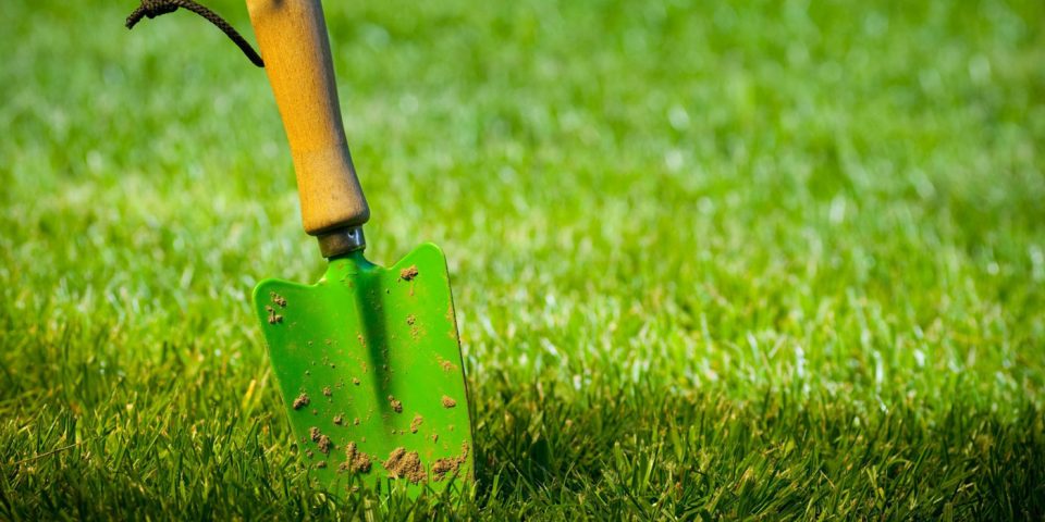 L'entretien d'une pelouse, avoir un gazon bien vert