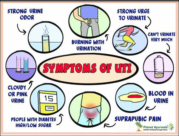 natural treatment for Urinary tract infection Archives Dr. Vikram