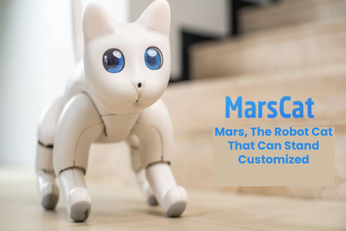Mars, The Robot Cat That Can Stand Customized Blog 4 Techies