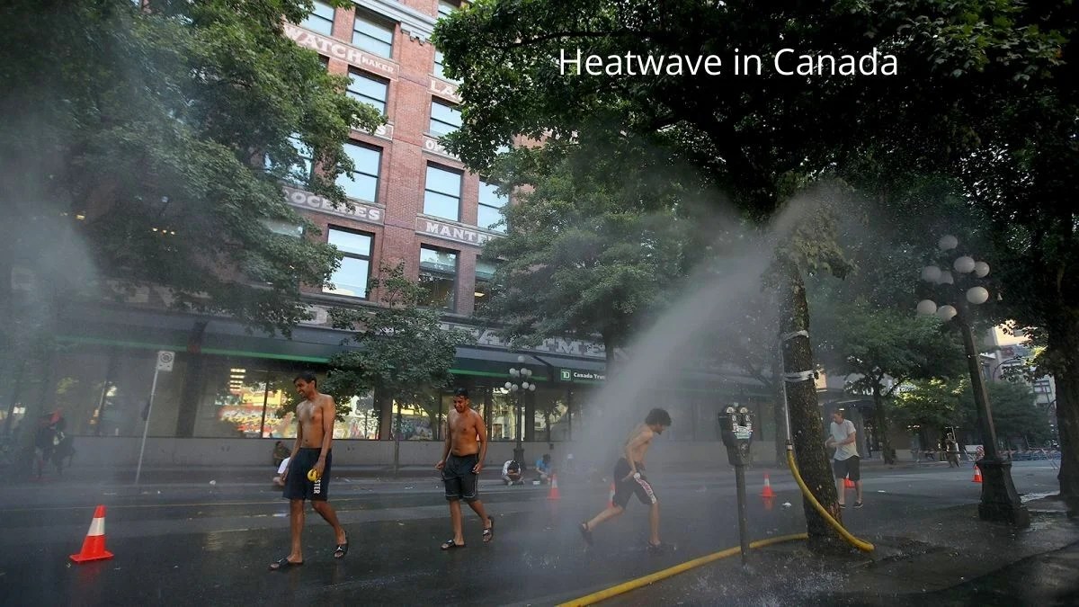 Heatwave In Canada Hundreds Of Sudden Deaths Due To Heatwave 2021