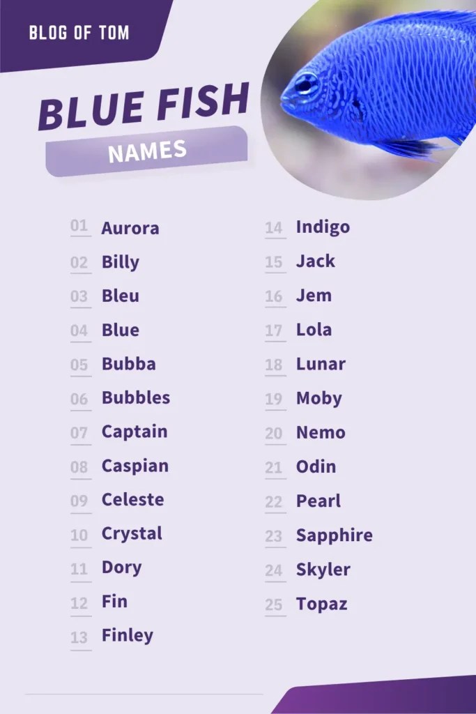 153 Blue Fish Names (BEST Girls & Boys Ideas For 2024!)