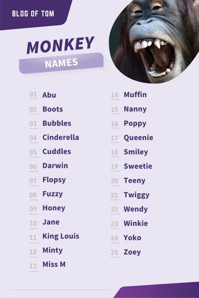 Monkey Names (769 Best, Funny & Cute Ideas) Blog Of Tom