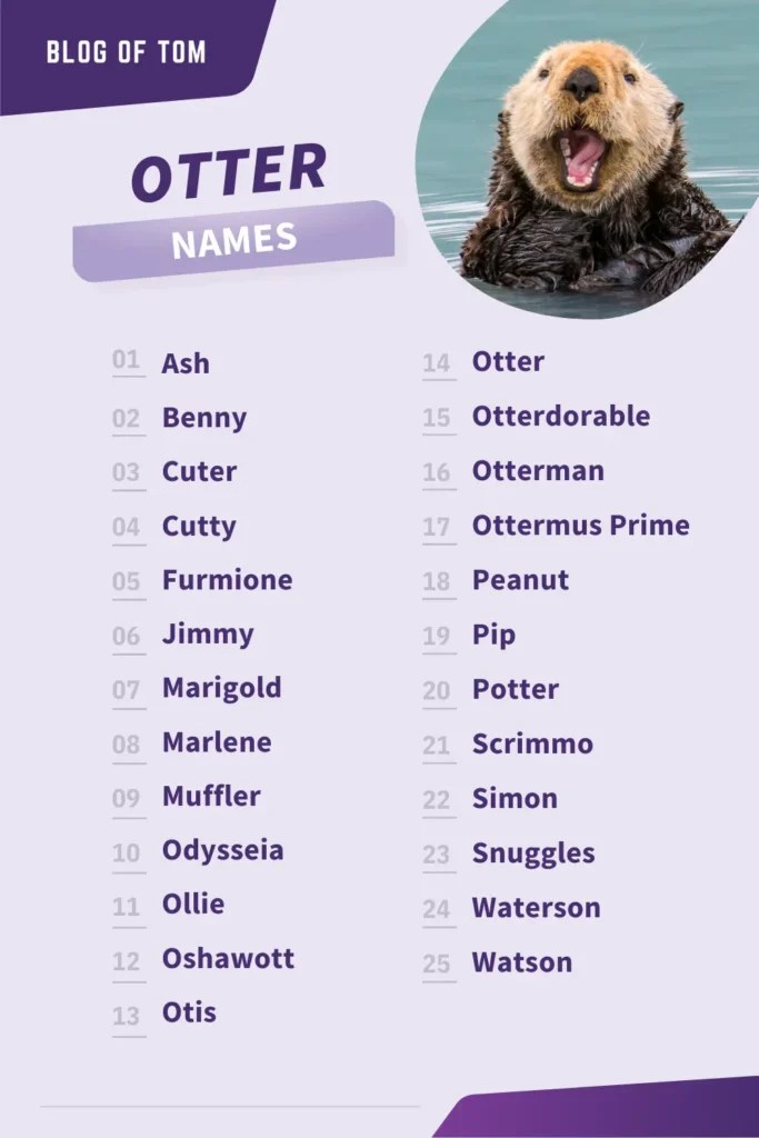Otter Names (765+ Best & Cute Naming Ideas) Blog Of Tom