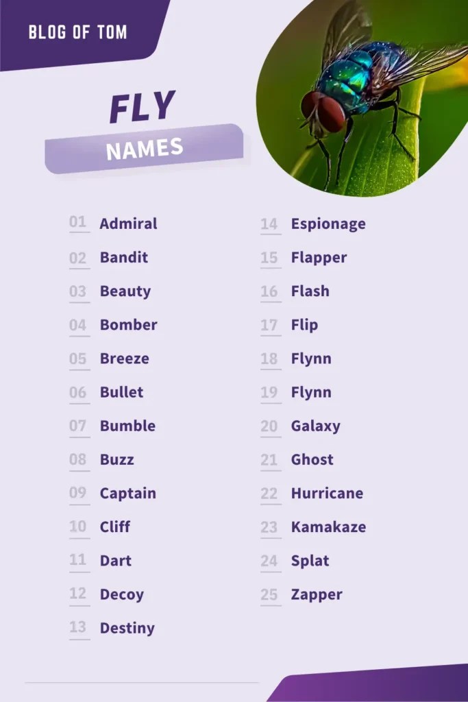 179+ Fly Names (Best & Funny Pet Fly Naming Ideas)