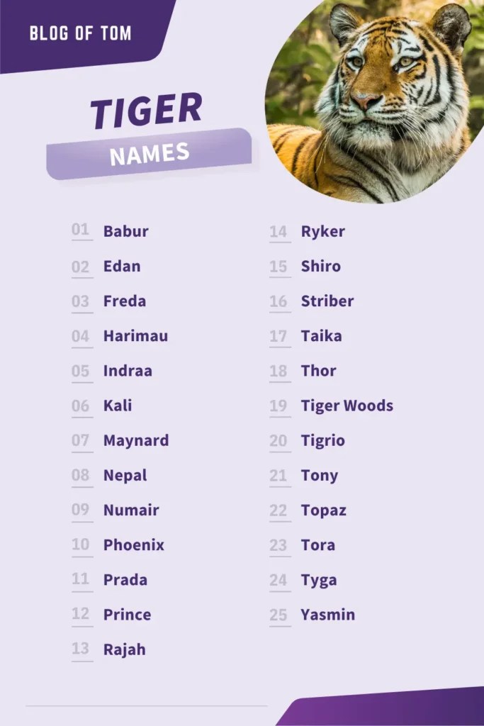999+ Tiger Names (BEST Male & Female Ideas In 2024)