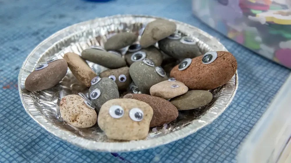 881+ Pet Rock Names (Good, Cute & Cool Ideas) Blog Of Tom