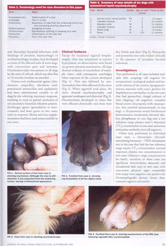 Symmetrical Lupoid Onychodystrophy