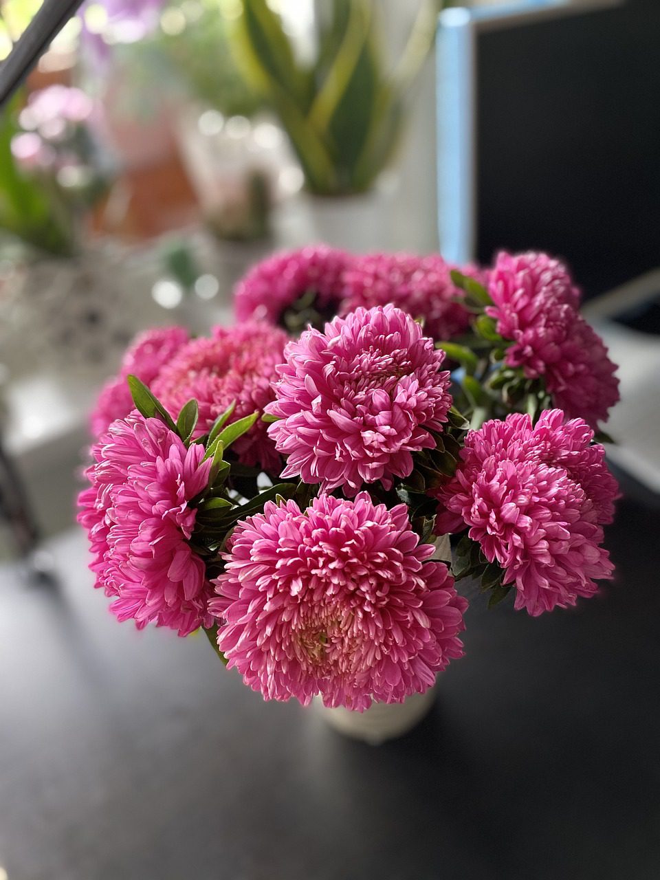 Best Flowers to Grow in the Cutting Garden Blooming Anomaly