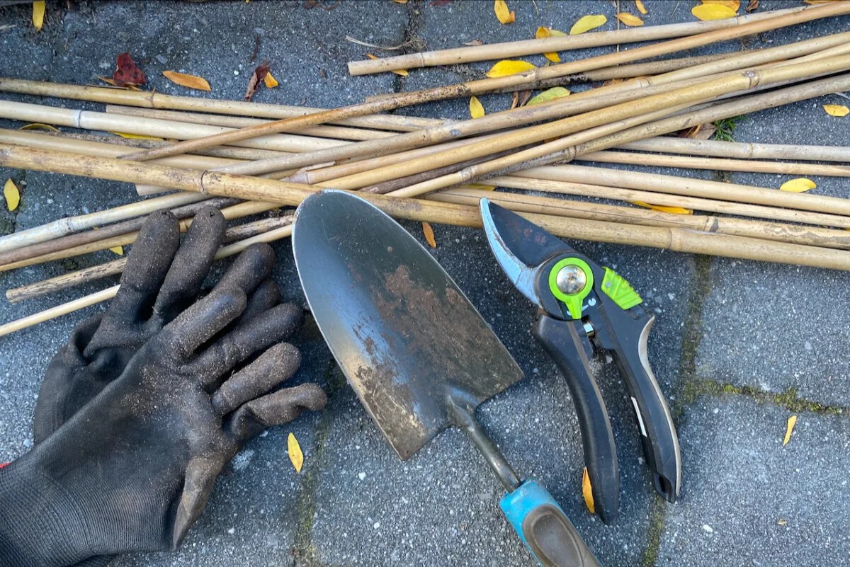 How To Stake Garden Plants (& Tips To AVOID Staking Plants)