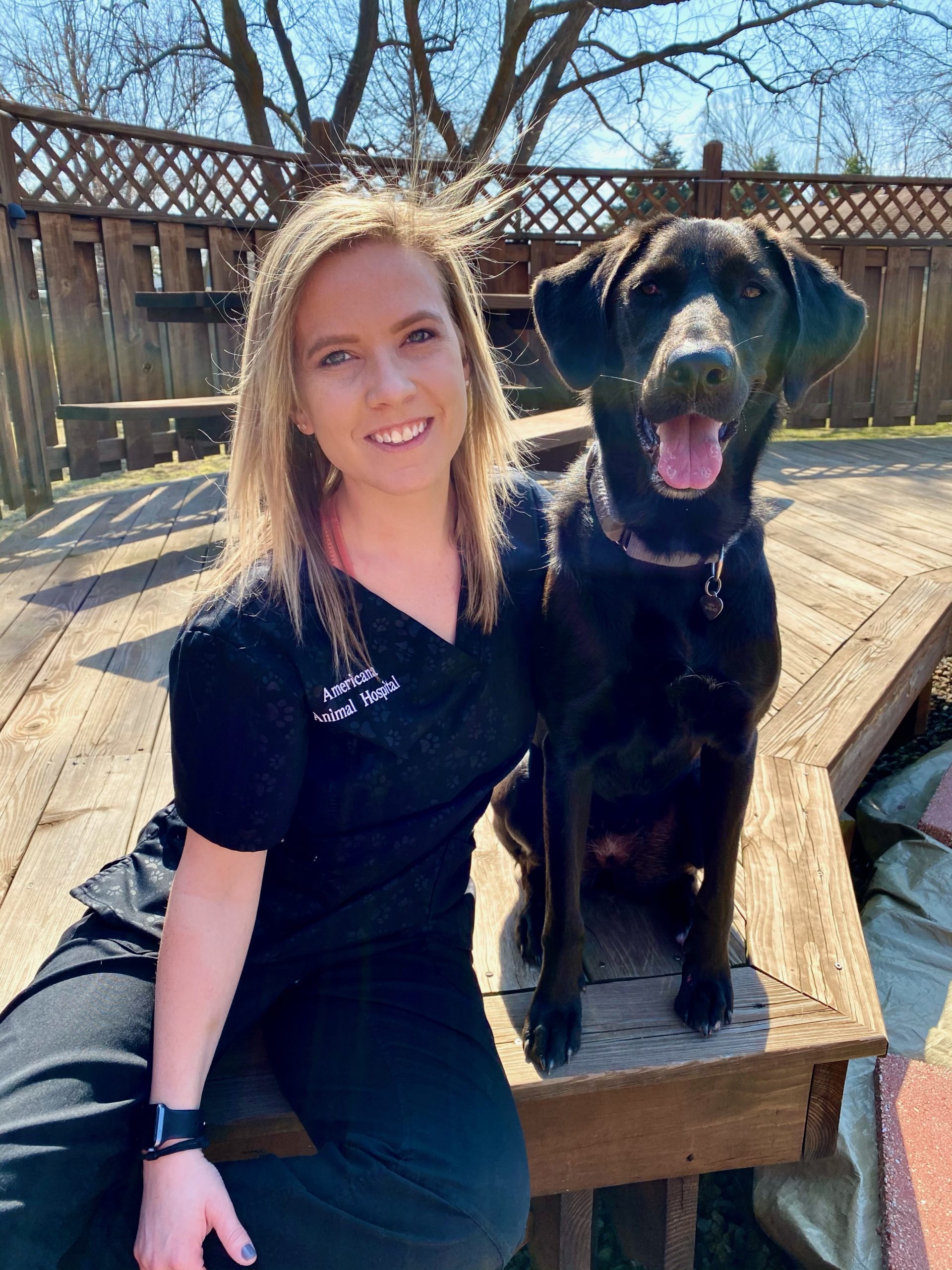 About Americana Animal Hospital Veterinarian in Bloomington, Illinois