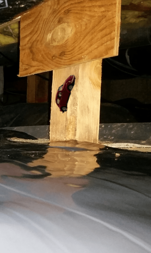 Powderpost Beetle Bloom Pest Control