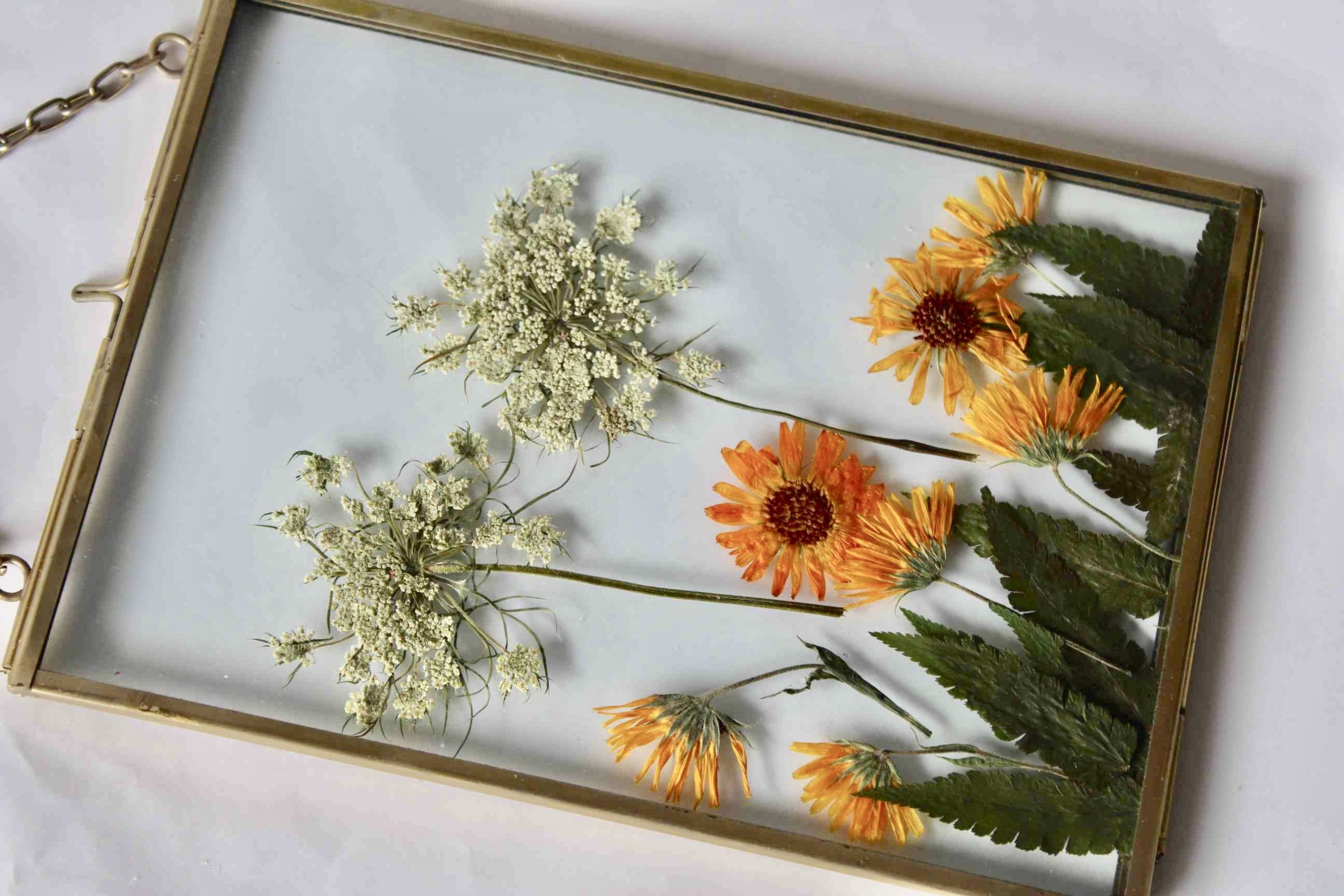 Buy Sunrise Wall Art Pressed Flower Frame BloomyBliss