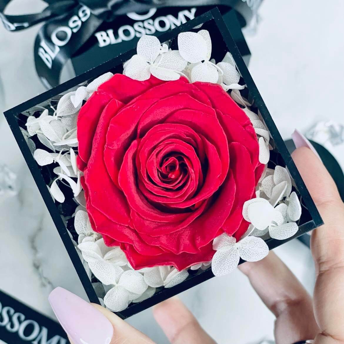 Everlasting Rose Acrylic Box BLOSSOMY