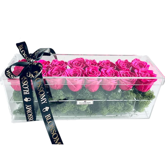 The Infinity Rose Deluxe BLOSSOMY