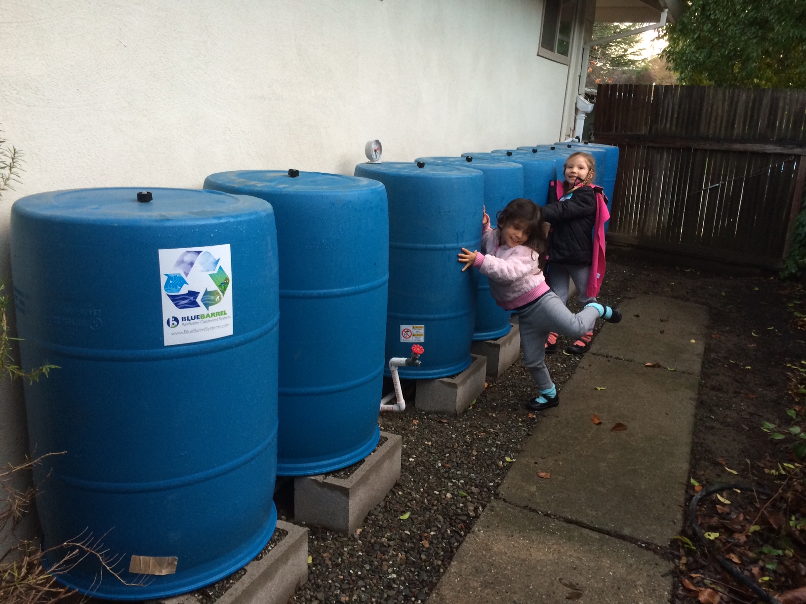 How to Keep Mosquitoes Out of Rain Barrels BlueBarrel Rainwater