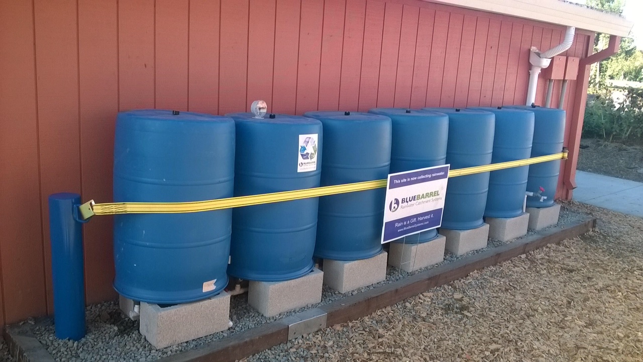 How to Strap Rain Barrels for Earthquake Safety BlueBarrel Rainwater