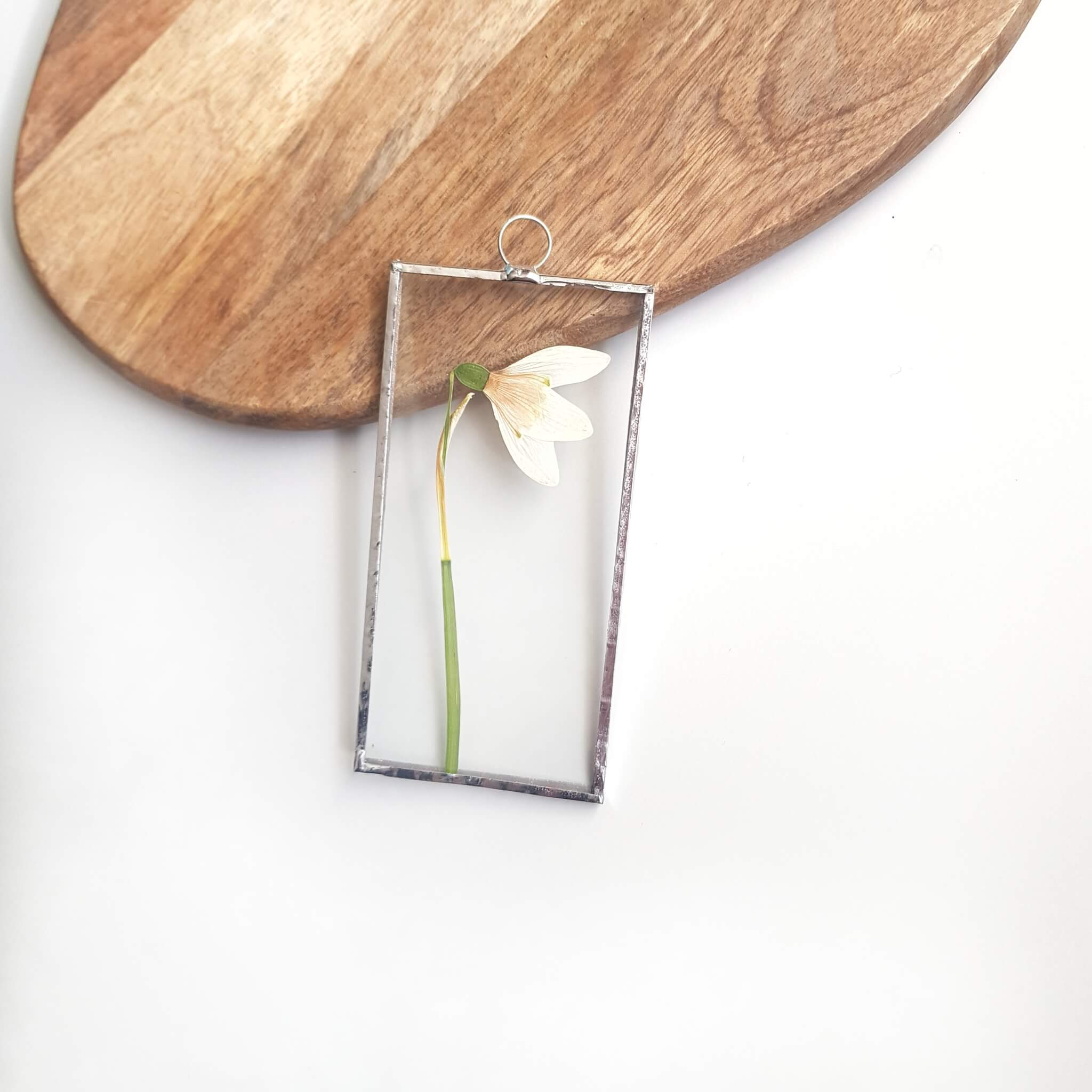 Miniature Circular Pressed Flower Frame With Daisies Bluebells & Blossom