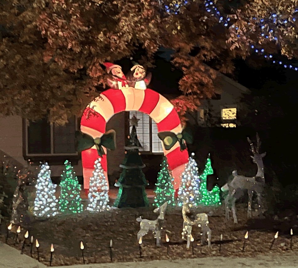 Christmas Lights Lights