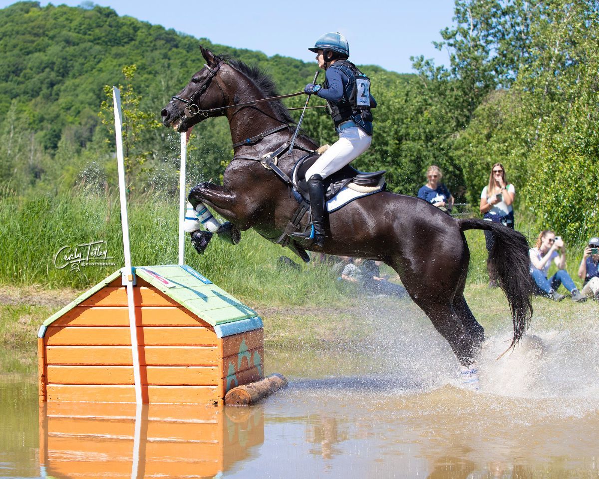 Bromont Results USEA Blue Clover Eventing