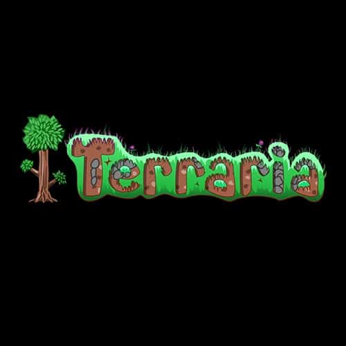 No Snrm From Host On Credit Card Machine Terraria Dedicated Server Hosting