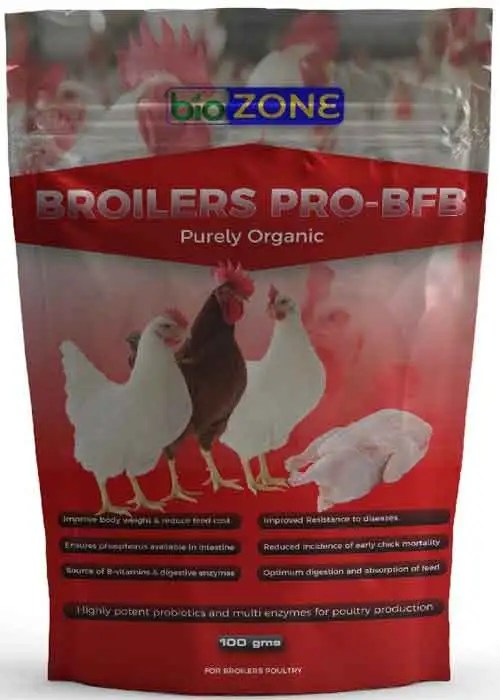 Animal Waste Management Blueflame Energy Solutions Biozone