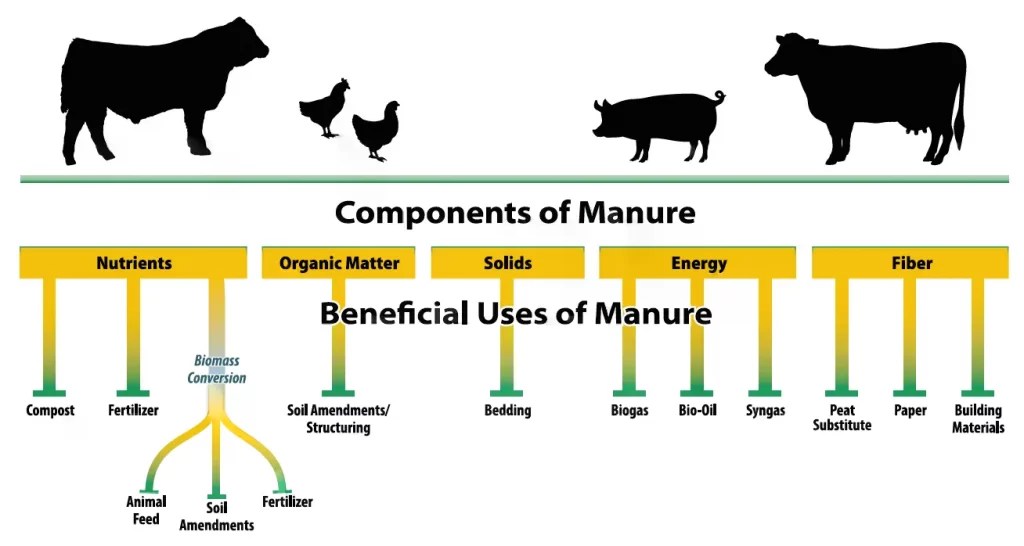 Animal Waste Management Blueflame Energy Solutions Biozone