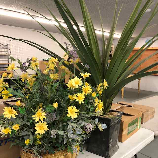 June 78 Hamilton Blue Jay Estate Sales