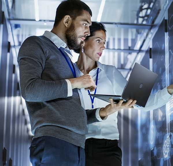 ERP Support Blue Link Software