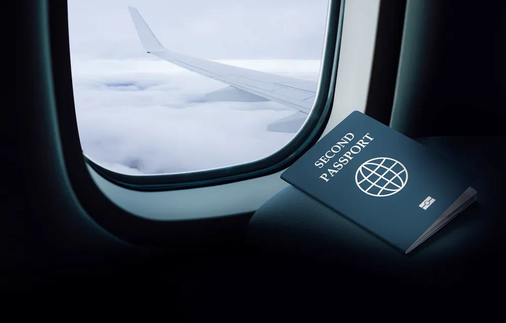 Dual Nationality Which Countries Allow it? Bluemina